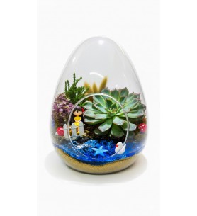 Yumurta Cam Teraryum Küçük